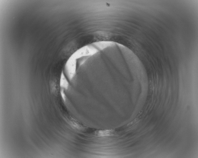 X0000063530134200602172253