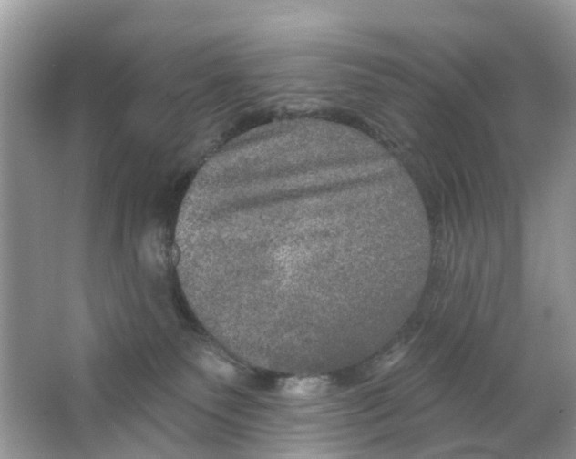 X0000063530135200602172253