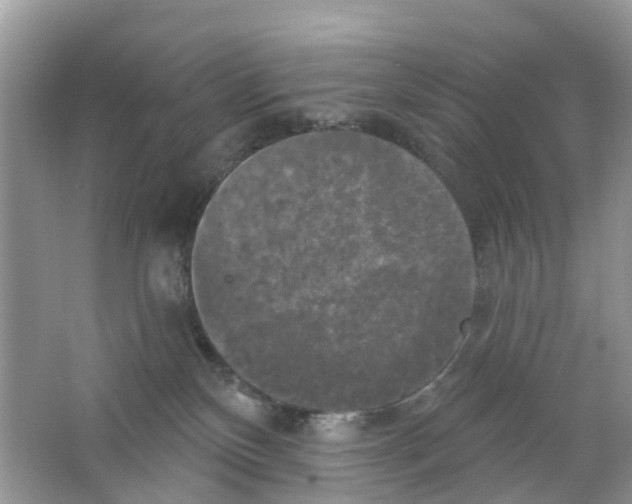 X0000063530136200602172253