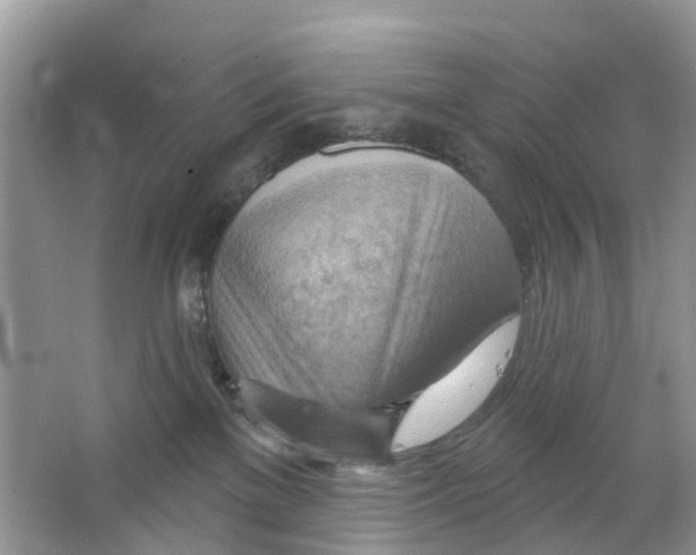 X0000063530137200602172253