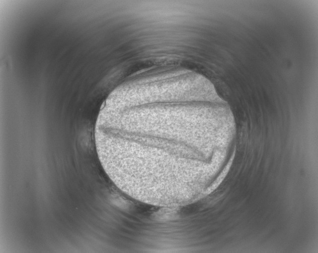 X0000063530138200602172253