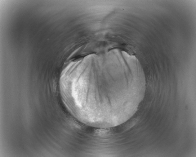 X0000063530139200602172253