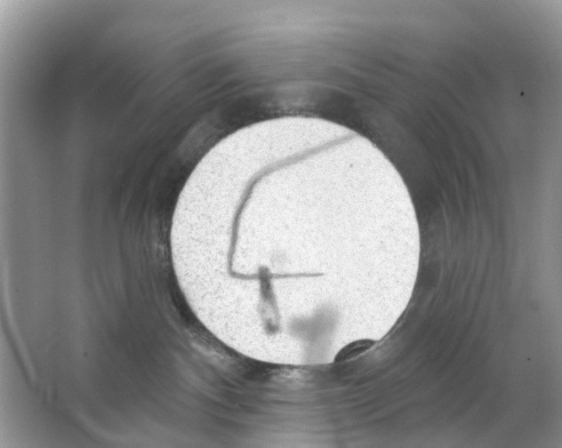 X0000063530140200602172253