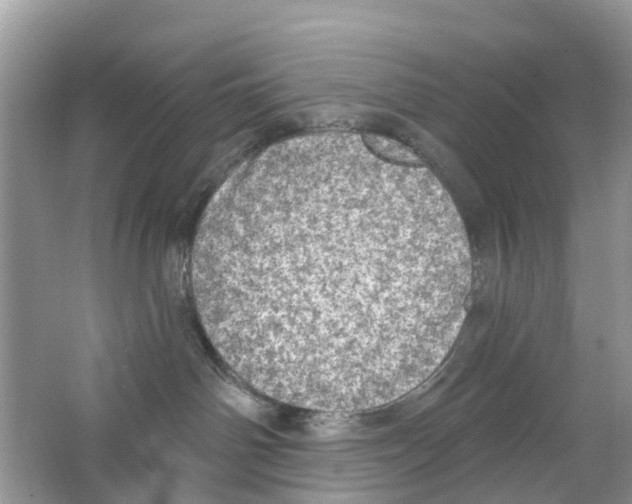 X0000063530142200602172253