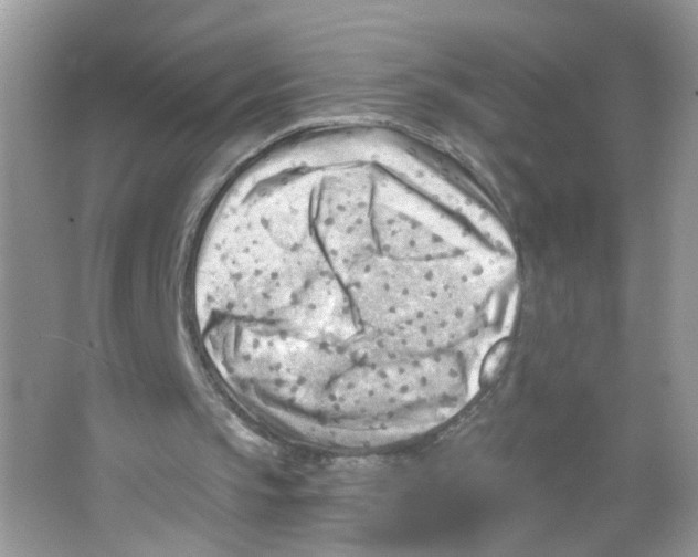 X0000063530145200602172252