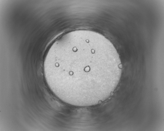 X0000063530146200602172252