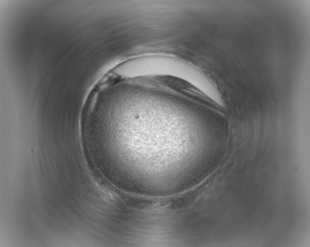 X0000063530148200602172252