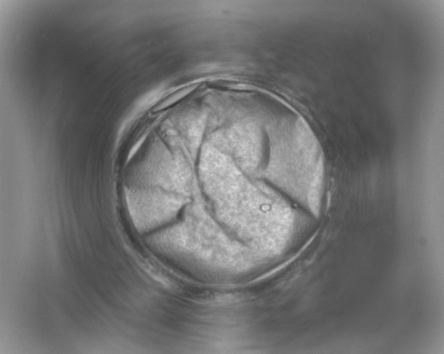 X0000063530149200602172252