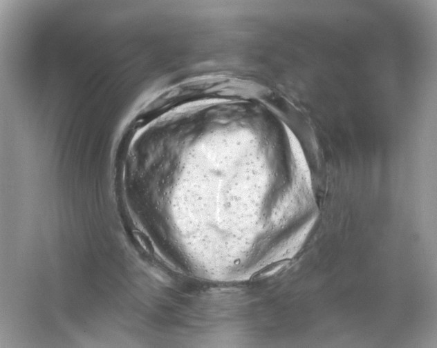 X0000063530150200602172252