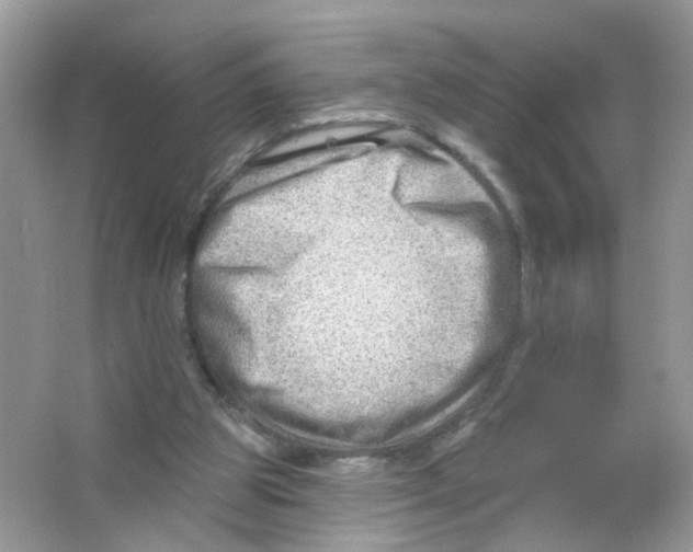 X0000063530153200602172252