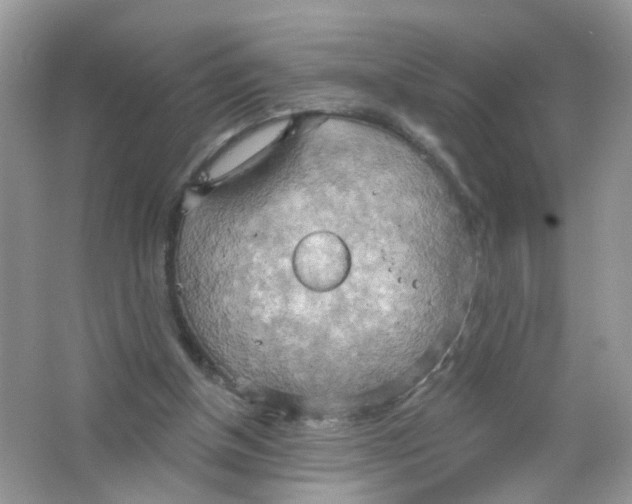 X0000063530154200602172252