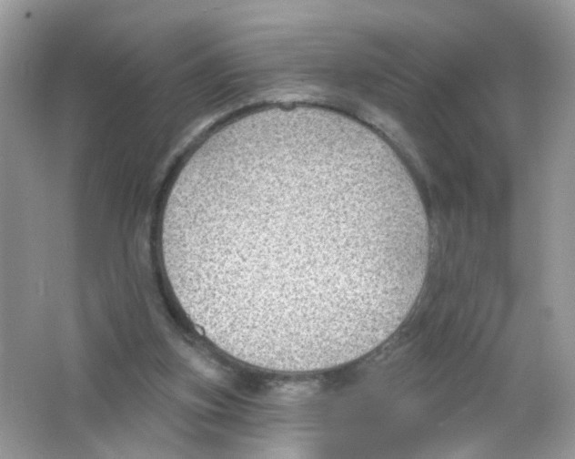 X0000063530155200602172252