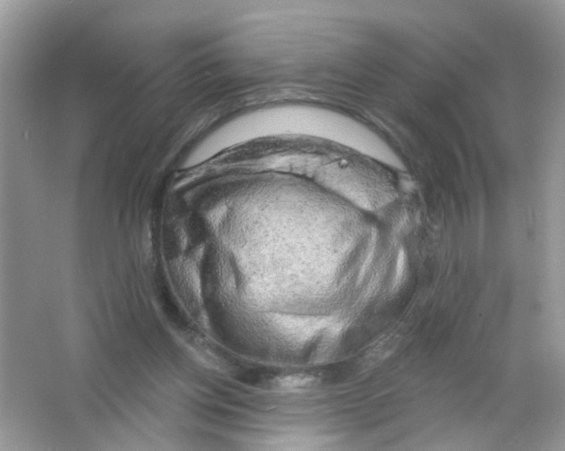 X0000063530158200602172252