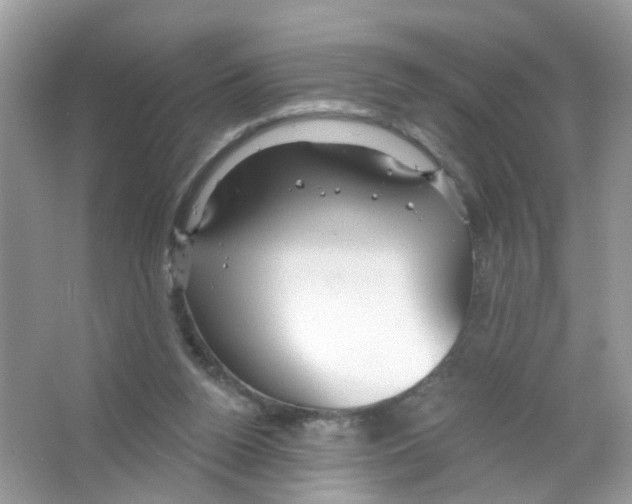 X0000063530160200602172252