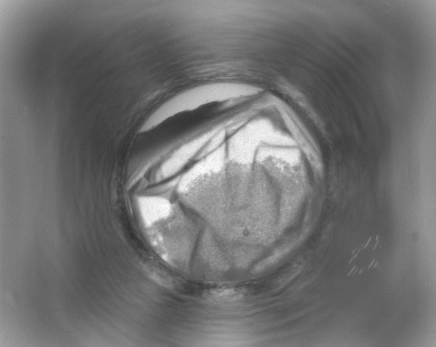 X0000063530161200602172252