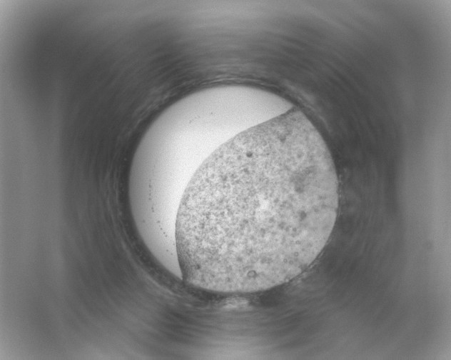 X0000063530162200602172252