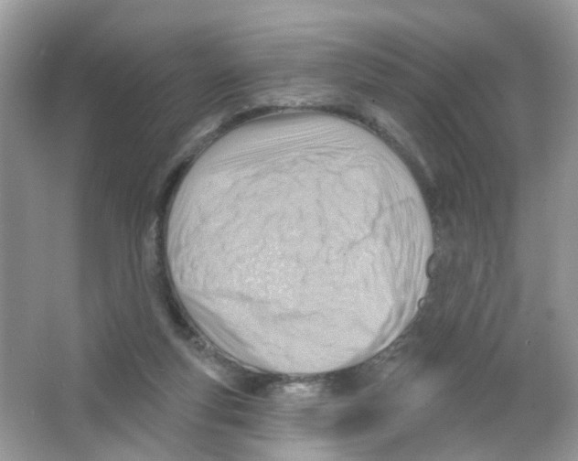 X0000063530163200602172252