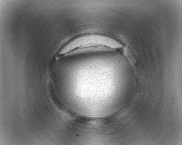 X0000063530164200602172252