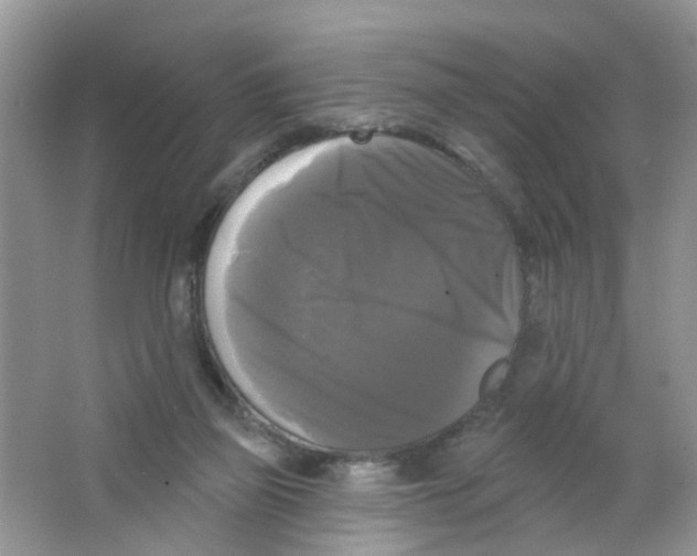 X0000063530165200602172252