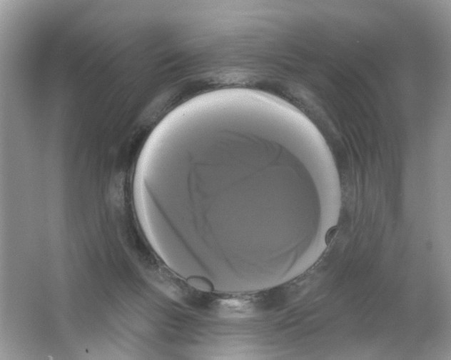 X0000063530167200602172252