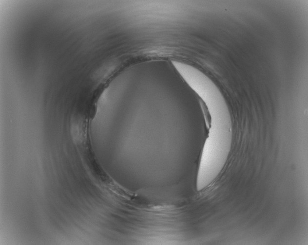 X0000063530168200602172252