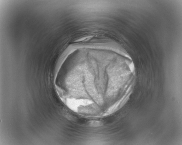 X0000063530169200602172252