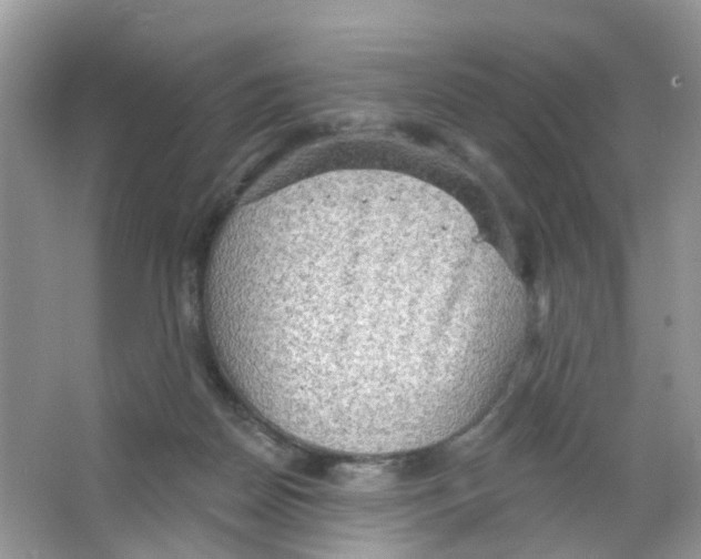 X0000063530170200602172252