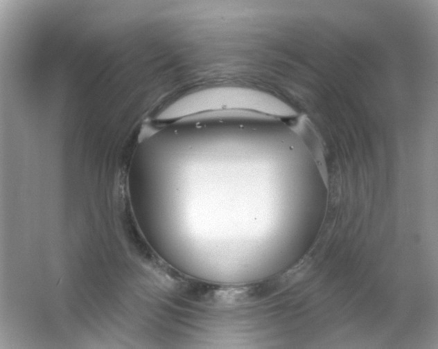 X0000063530172200602172252