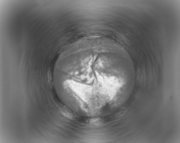 X0000063530173200602172252