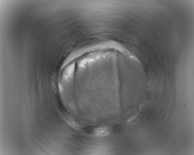 X0000063530175200602172253