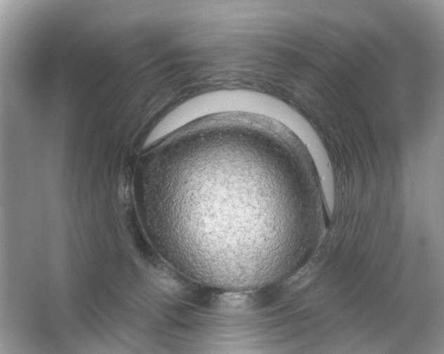 X0000063530176200602172253