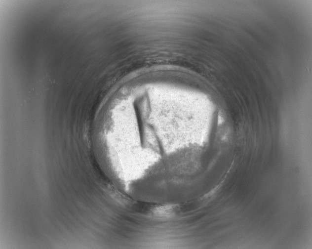 X0000063530178200602172253