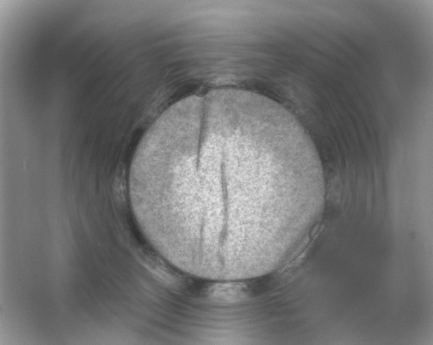 X0000063530179200602172253