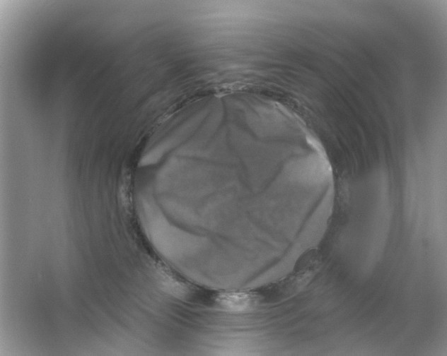 X0000063530181200602172253