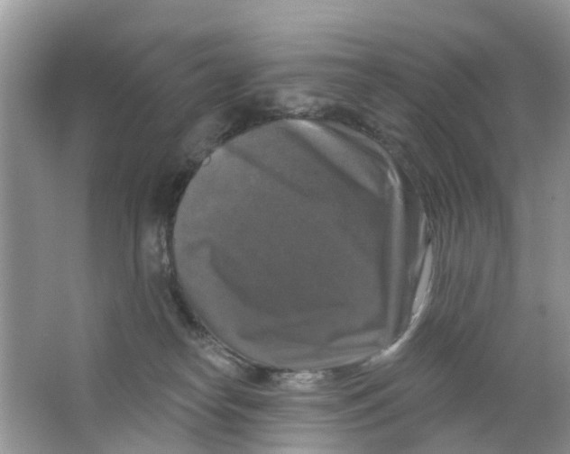 X0000063530182200602172253