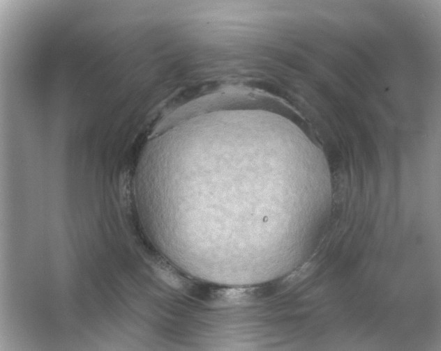 X0000063530184200602172253