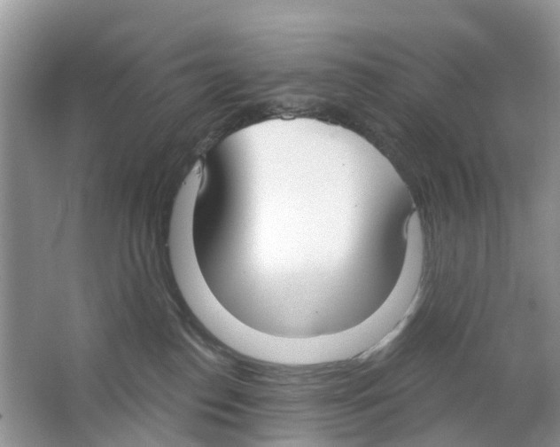 X0000063530186200602172253