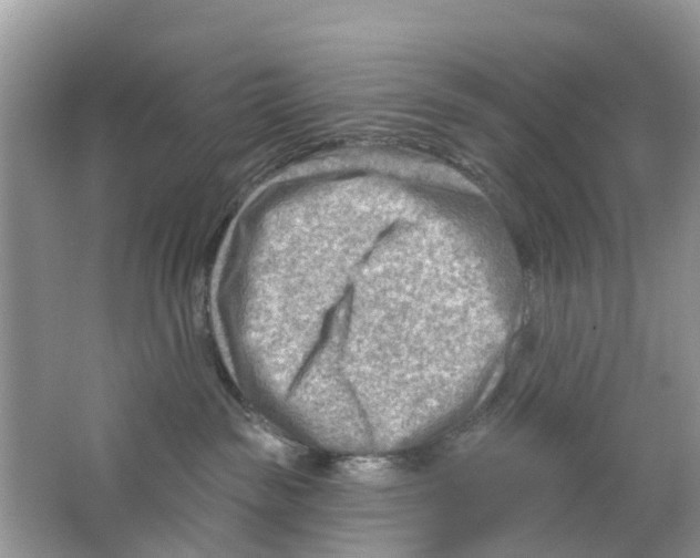 X0000063530189200602172253