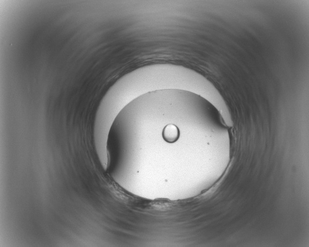 X0000063530190200602172253