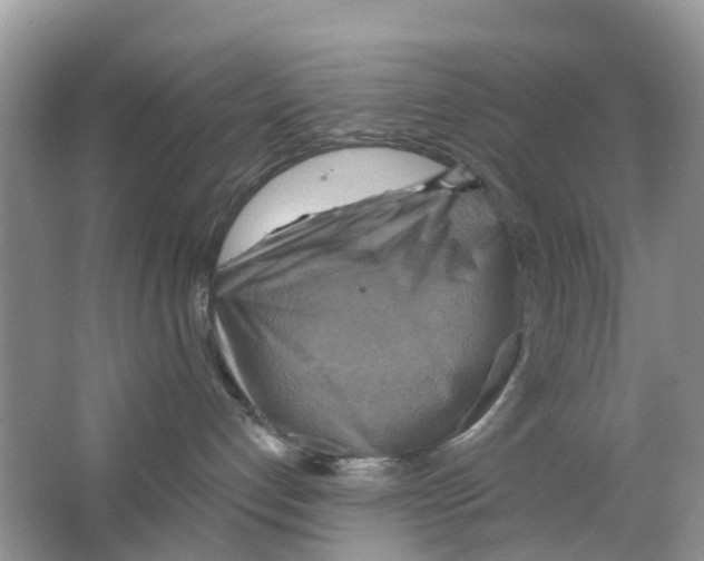 X0000063530192200602172253