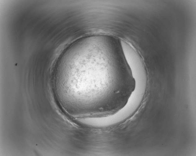 X0000063530193200602172252