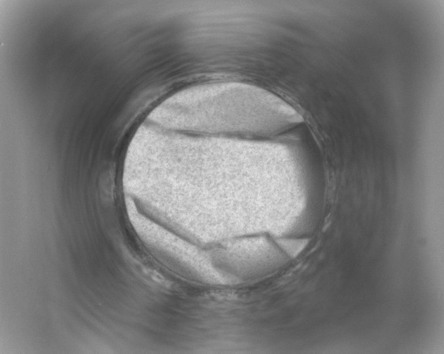 X0000063530194200602172252