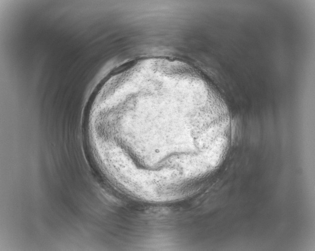 X0000063530195200602172252