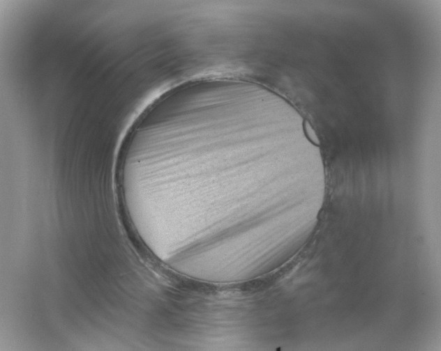 X0000063530196200602172252