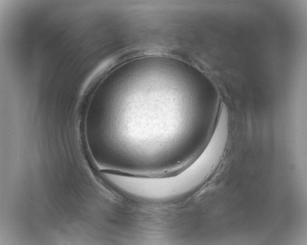 X0000063530197200602172252