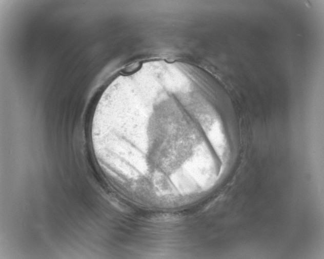 X0000063530198200602172252