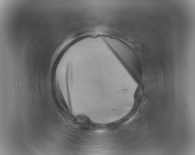 X0000063530200200602172252