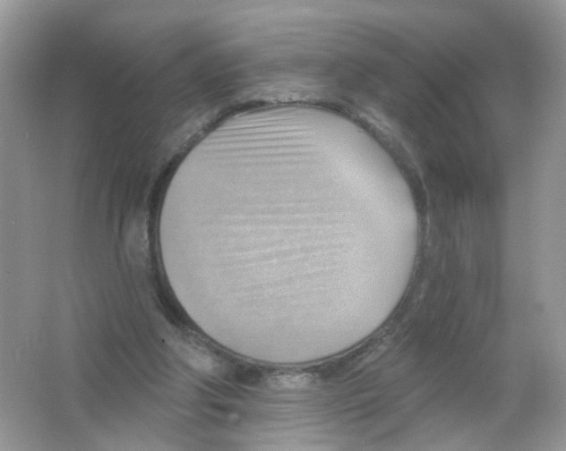 X0000063530202200602172252