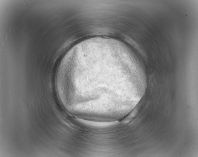 X0000063530203200602172252