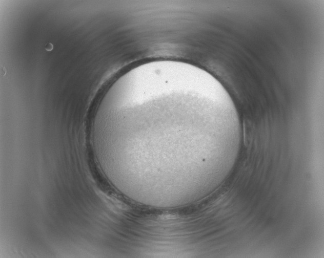 X0000063530204200602172252